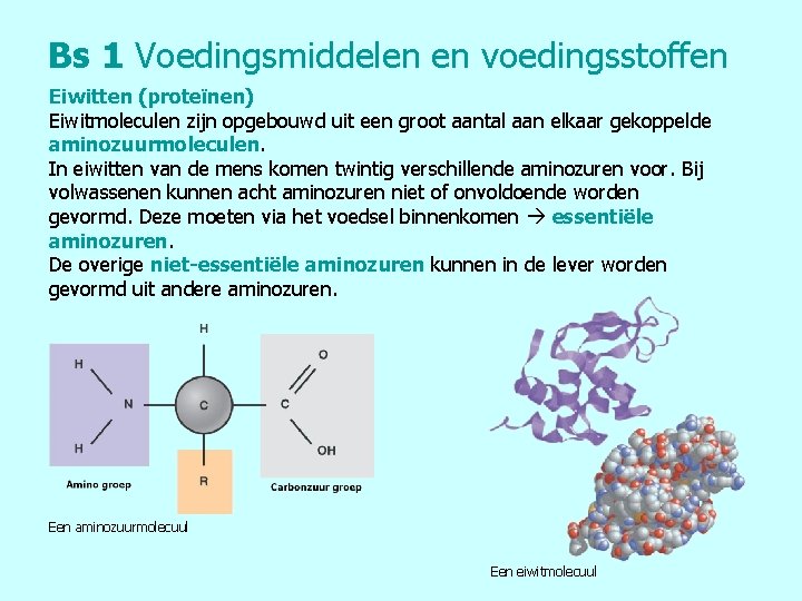 Bs 1 Voedingsmiddelen en voedingsstoffen Eiwitten (proteïnen) Eiwitmoleculen zijn opgebouwd uit een groot aantal