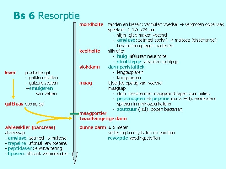 Bs 6 Resorptie mondholte keelholte slokdarm lever productie gal - galkleurstoffen - galzure zouten