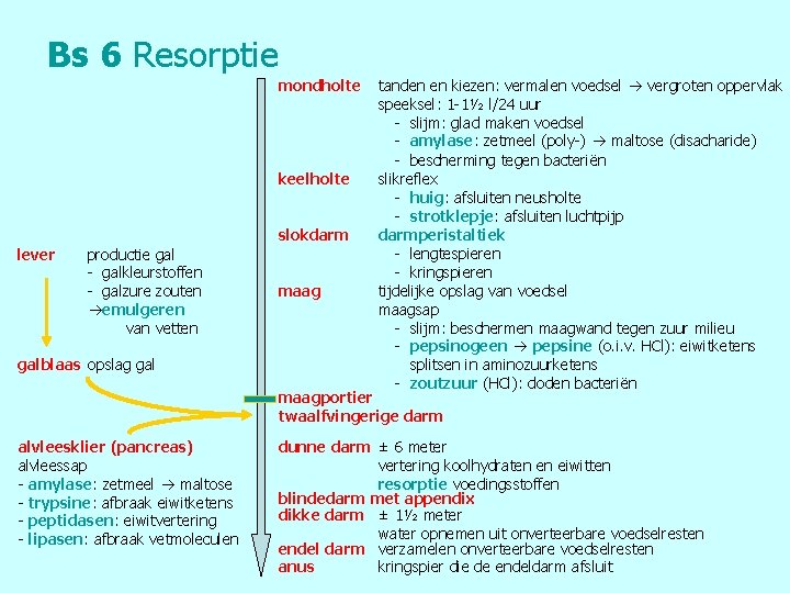 Bs 6 Resorptie mondholte keelholte slokdarm lever productie gal - galkleurstoffen - galzure zouten