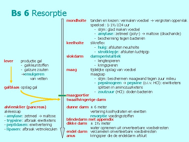 Bs 6 Resorptie mondholte keelholte slokdarm lever productie gal - galkleurstoffen - galzure zouten