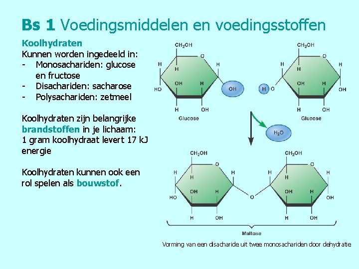 Bs 1 Voedingsmiddelen en voedingsstoffen Koolhydraten Kunnen worden ingedeeld in: - Monosachariden: glucose en