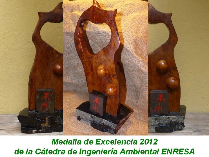 Medalla de Excelencia 2012 de la Cátedra de Ingeniería Ambiental ENRESA 