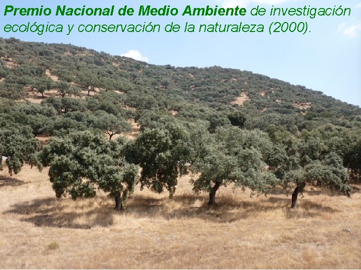 Premio Nacional de Medio Ambiente de investigación ecológica y conservación de la naturaleza (2000).