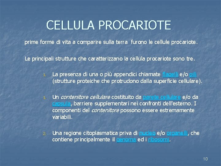 CELLULA PROCARIOTE prime forme di vita a comparire sulla terra furono le cellule procariote.