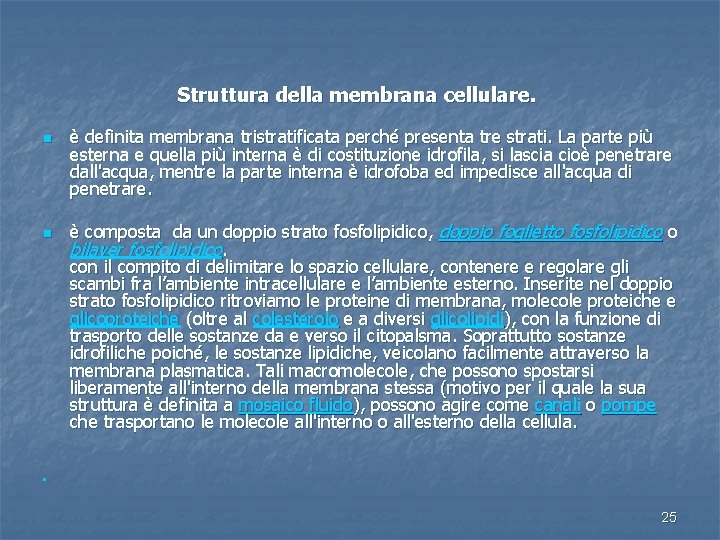  Struttura della membrana cellulare. n n è definita membrana tristratificata perché presenta tre
