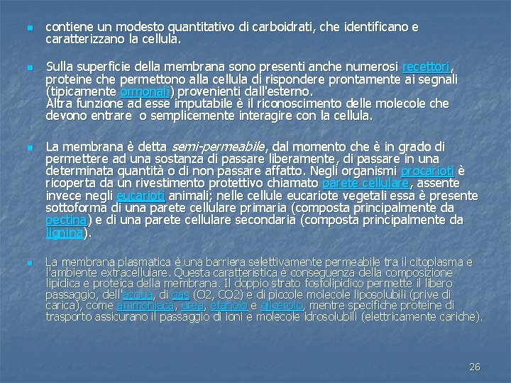 n n contiene un modesto quantitativo di carboidrati, che identificano e caratterizzano la cellula.