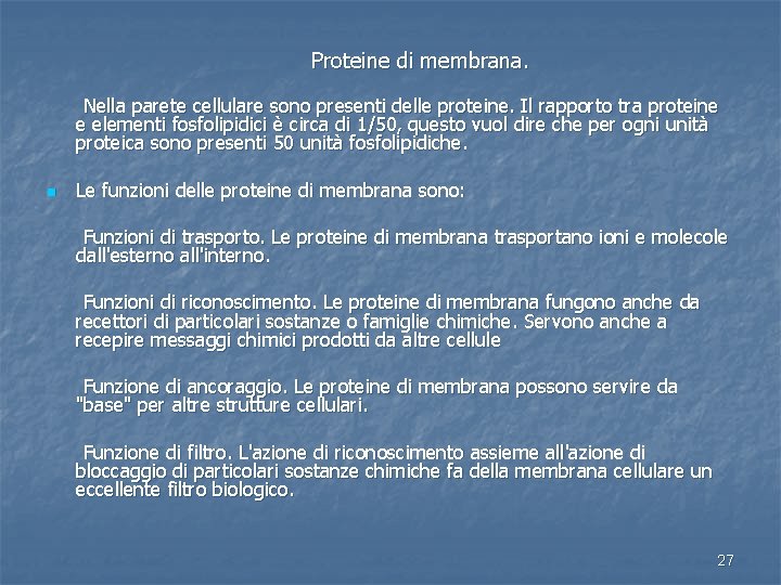 Proteine di membrana. Nella parete cellulare sono presenti delle proteine. Il rapporto tra proteine