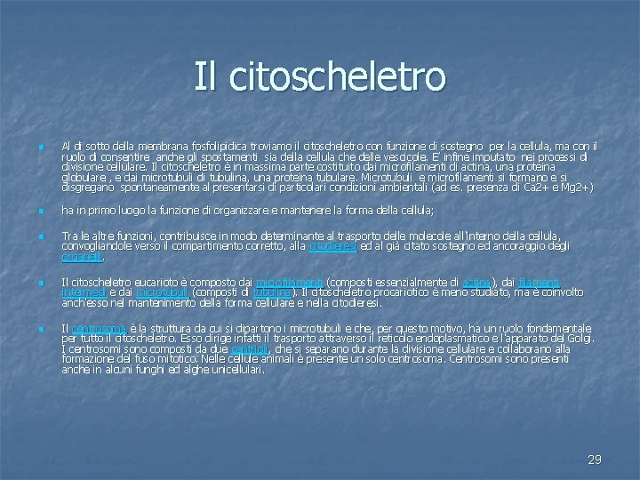 Il citoscheletro n n n Al di sotto della membrana fosfolipidica troviamo il citoscheletro