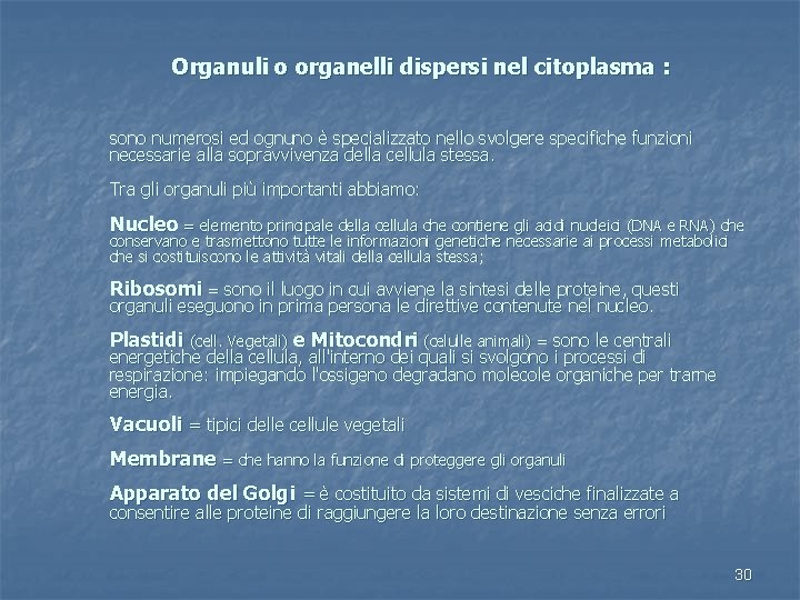  Organuli o organelli dispersi nel citoplasma : sono numerosi ed ognuno è specializzato
