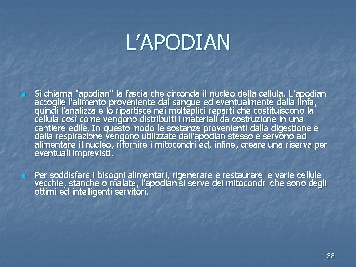L’APODIAN n n Si chiama "apodian" la fascia che circonda il nucleo della cellula.