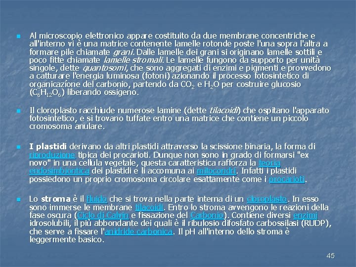 n n Al microscopio elettronico appare costituito da due membrane concentriche e all'interno vi