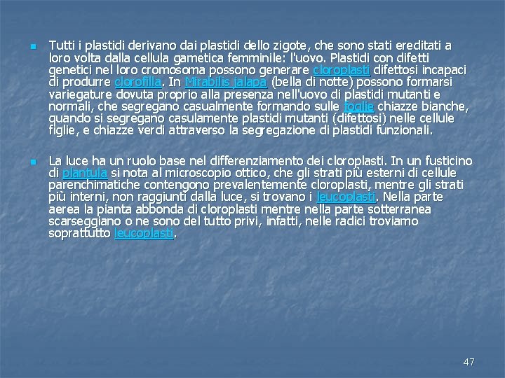 n n Tutti i plastidi derivano dai plastidi dello zigote, che sono stati ereditati