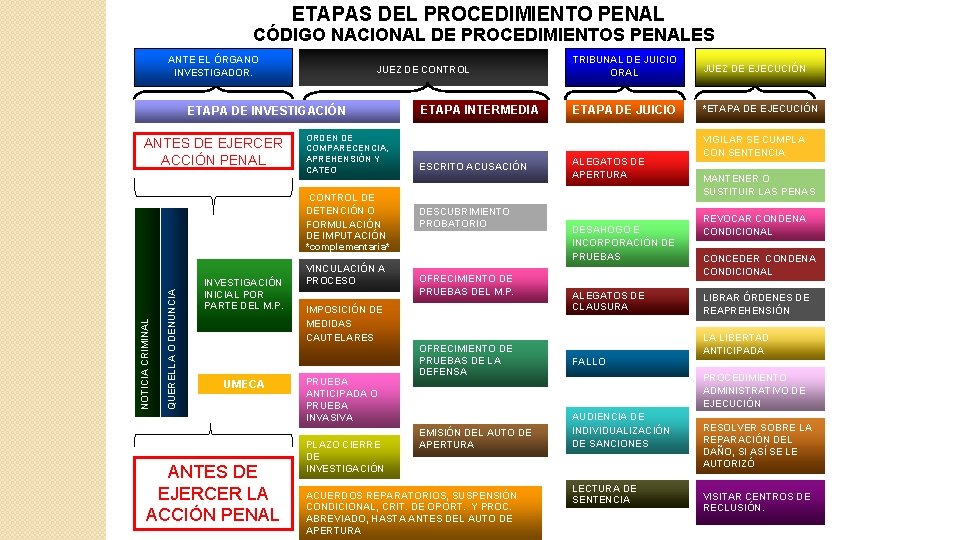 ETAPAS DEL PROCEDIMIENTO PENAL CÓDIGO NACIONAL DE PROCEDIMIENTOS PENALES ANTE EL ÓRGANO INVESTIGADOR. JUEZ ETAPAS DEL PROCEDIMIENTO PENAL CÓDIGO NACIONAL DE PROCEDIMIENTOS PENALES ANTE EL ÓRGANO INVESTIGADOR. JUEZ