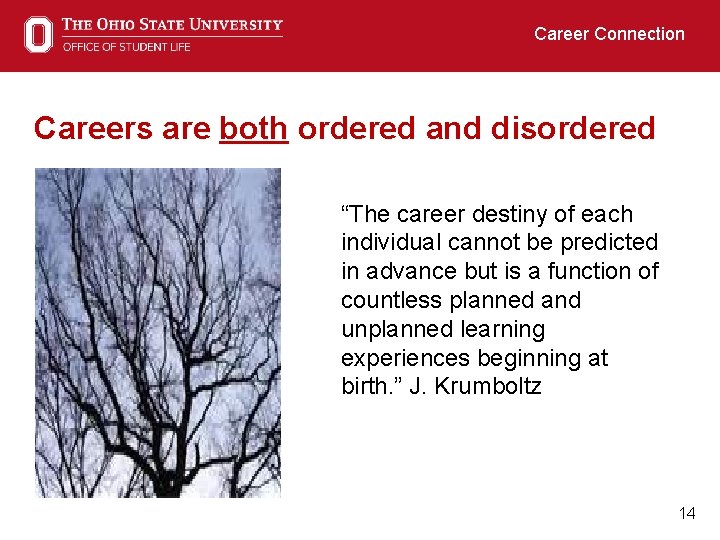 Career Connection Careers are both ordered and disordered “The career destiny of each individual