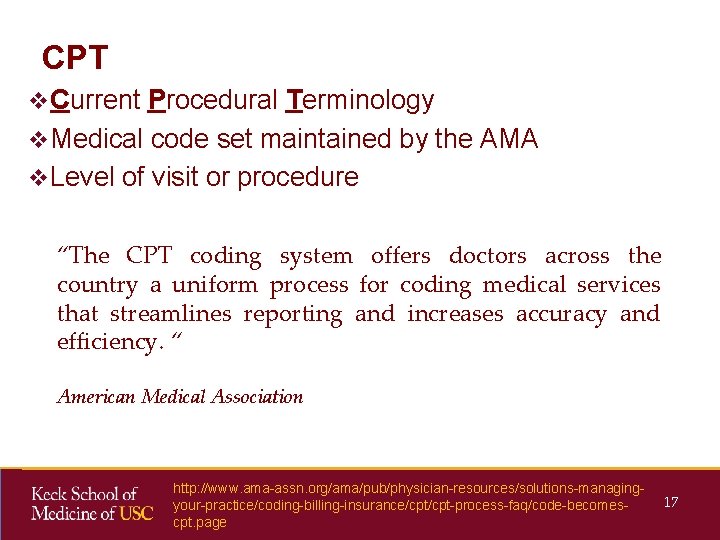 CPT v Current Procedural Terminology v Medical code set maintained by the AMA v