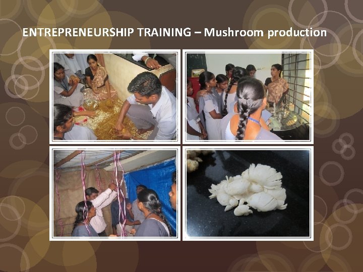 ENTREPRENEURSHIP TRAINING – Mushroom production 