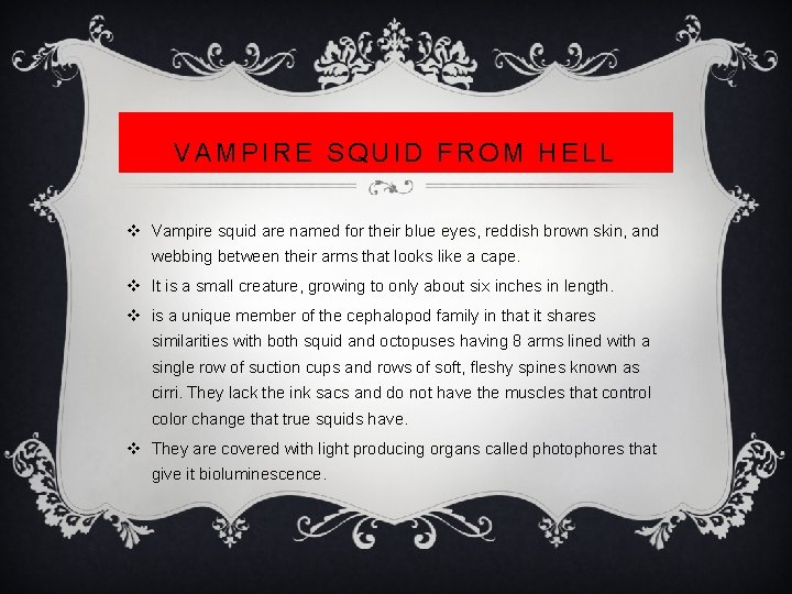 VAMPIRE SQUID FROM HELL v Vampire squid are named for their blue eyes, reddish