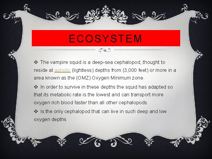 ECOSYSTEM v The vampire squid is a deep-sea cephalopod, thought to reside at aphotic
