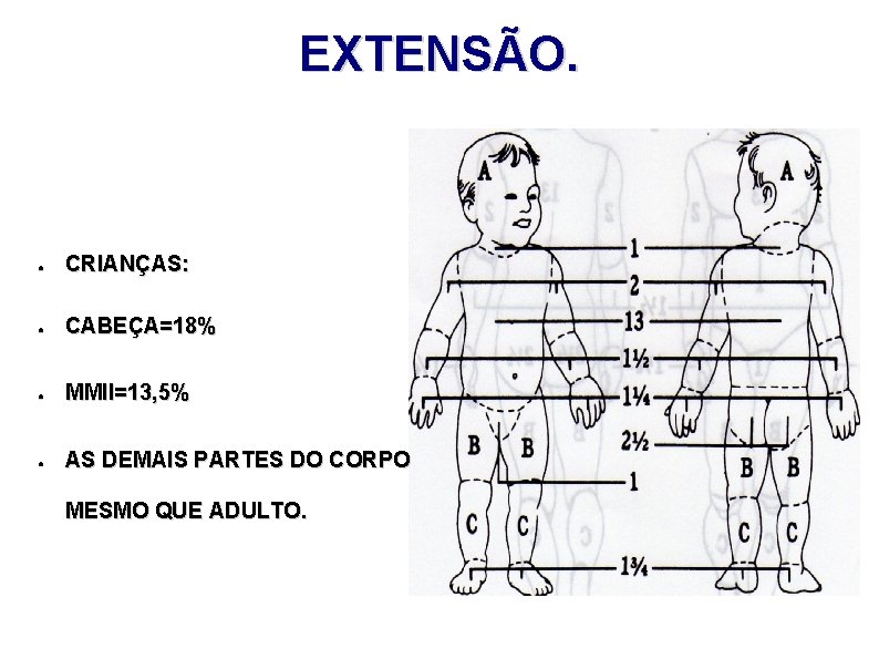 EXTENSÃO. ● CRIANÇAS: ● CABEÇA=18% ● MMII=13, 5% ● AS DEMAIS PARTES DO CORPO