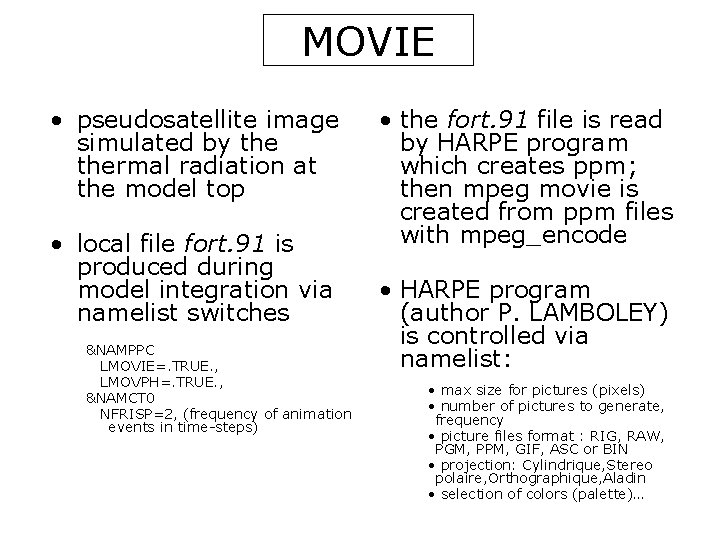MOVIE • pseudosatellite image simulated by thermal radiation at the model top • local