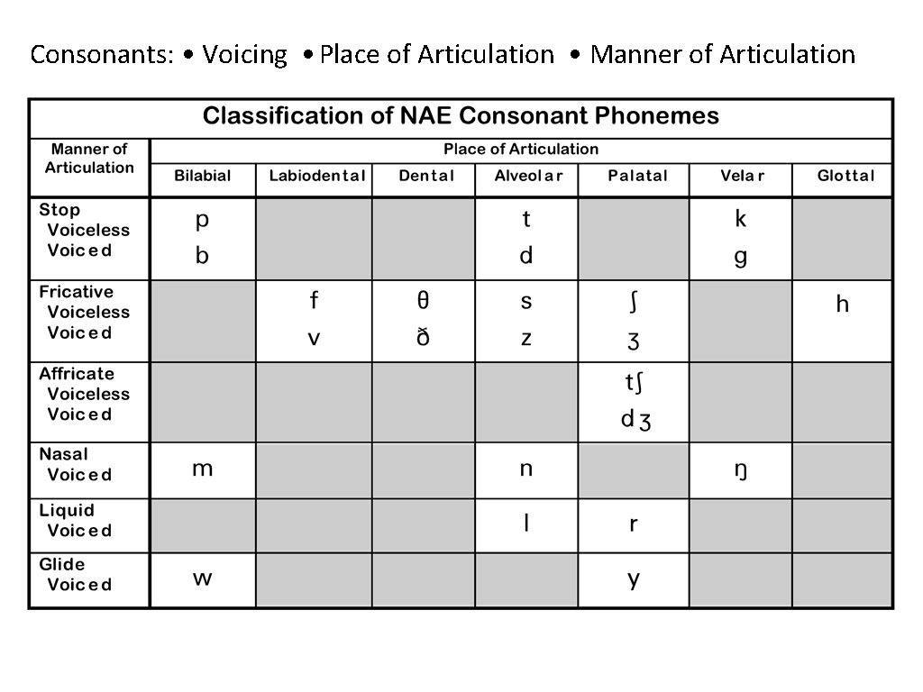 Consonants: • Voicing • Place of Articulation • Manner of Articulation Consonants: • Voicing • Place of Articulation • Manner of Articulation