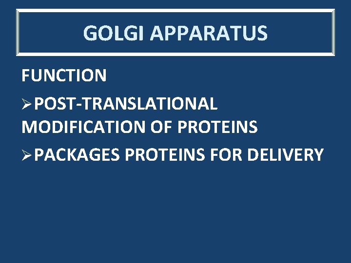 GOLGI APPARATUS FUNCTION ØPOST-TRANSLATIONAL MODIFICATION OF PROTEINS ØPACKAGES PROTEINS FOR DELIVERY 