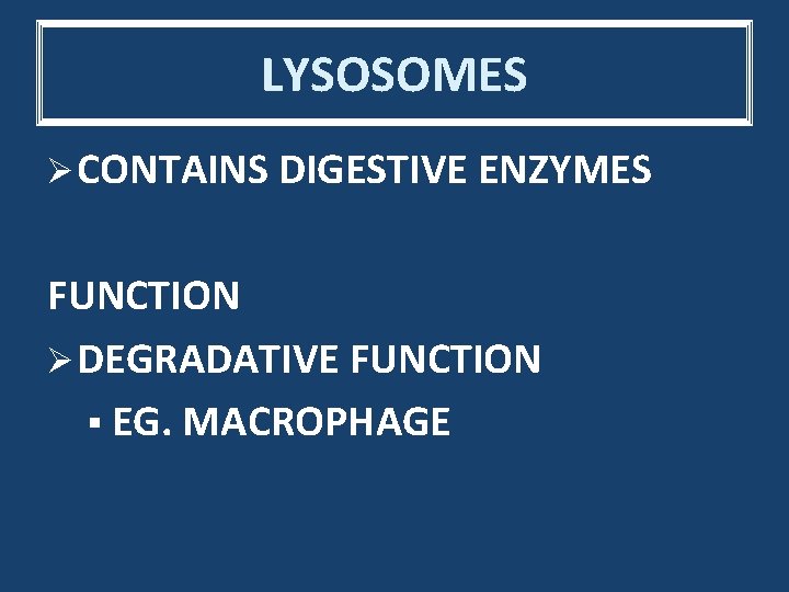 LYSOSOMES Ø CONTAINS DIGESTIVE ENZYMES FUNCTION Ø DEGRADATIVE FUNCTION § EG. MACROPHAGE 