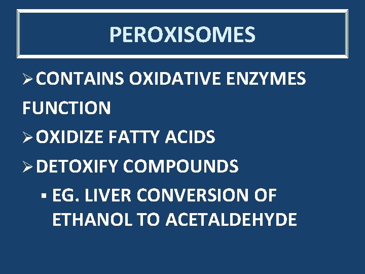 PEROXISOMES Ø CONTAINS OXIDATIVE ENZYMES FUNCTION Ø OXIDIZE FATTY ACIDS Ø DETOXIFY COMPOUNDS §