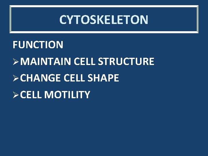 CYTOSKELETON FUNCTION ØMAINTAIN CELL STRUCTURE ØCHANGE CELL SHAPE ØCELL MOTILITY 