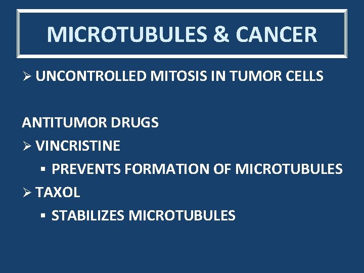 MICROTUBULES & CANCER Ø UNCONTROLLED MITOSIS IN TUMOR CELLS ANTITUMOR DRUGS Ø VINCRISTINE §