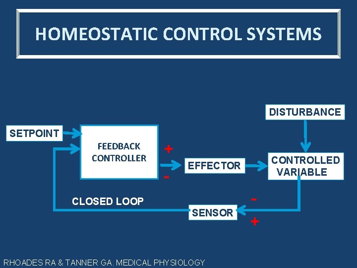 HOMEOSTATIC CONTROL SYSTEMS DISTURBANCE SETPOINT FEEDBACK CONTROLLER + - CONTROLLED VARIABLE EFFECTOR CLOSED LOOP