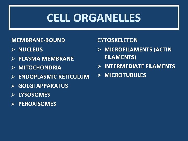 CELL ORGANELLES MEMBRANE-BOUND Ø Ø Ø Ø NUCLEUS PLASMA MEMBRANE MITOCHONDRIA ENDOPLASMIC RETICULUM GOLGI