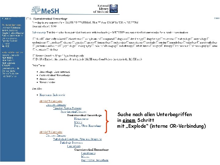 Suche nach allen Unterbegriffen in einem Schritt mit „Explode“ (interne OR-Verbindung) 