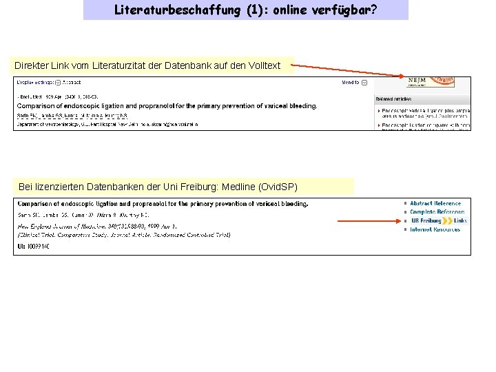 Literaturbeschaffung (1): online verfügbar? Direkter Link vom Literaturzitat der Datenbank auf den Volltext Bei