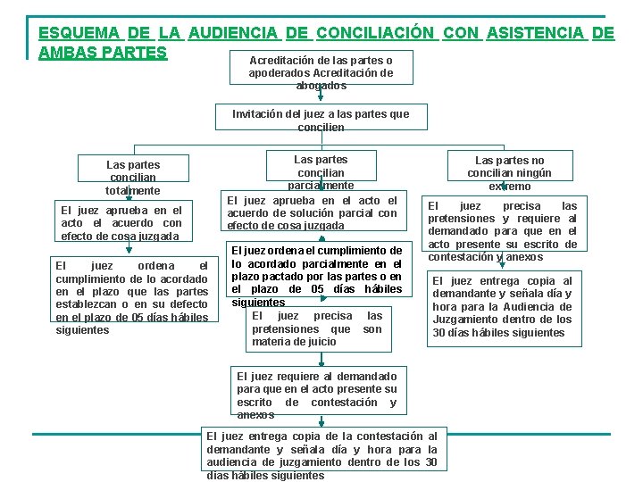 ESQUEMA DE LA AUDIENCIA DE CONCILIACIÓN CON ASISTENCIA DE AMBAS PARTES Acreditación de las