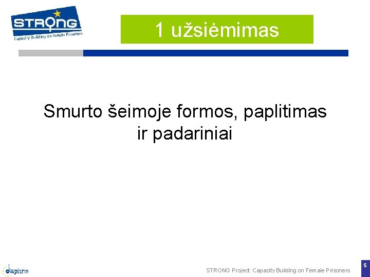 1 užsiėmimas Smurto šeimoje formos, paplitimas ir padariniai STRONG Project: Capacity Building on Female