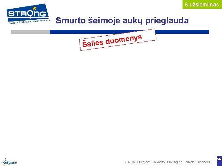 6 užsiėmimas Smurto šeimoje aukų prieglauda ys en m o u d s Šalie