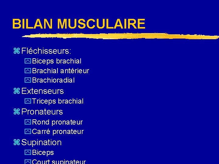 BILAN MUSCULAIRE z Fléchisseurs: y. Biceps brachial y. Brachial antérieur y. Brachioradial z Extenseurs