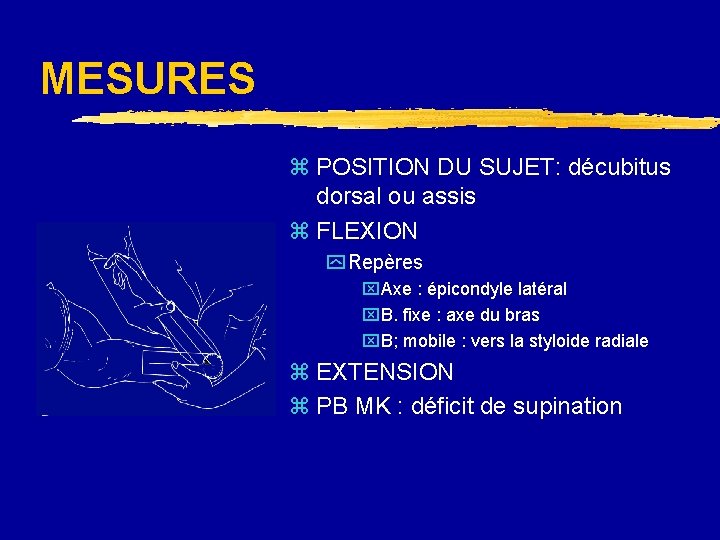 MESURES z POSITION DU SUJET: décubitus dorsal ou assis z FLEXION y Repères x.
