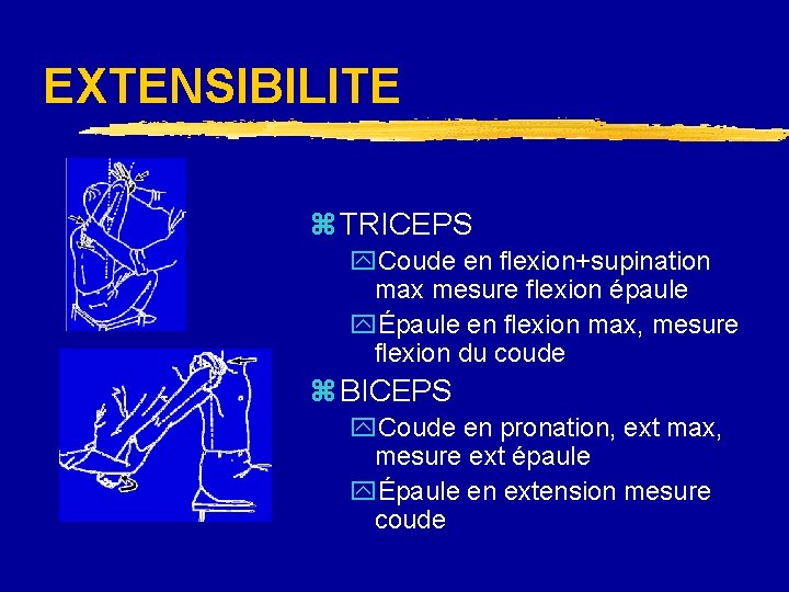 EXTENSIBILITE z TRICEPS y. Coude en flexion+supination max mesure flexion épaule yÉpaule en flexion