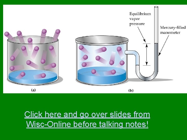 Click here and go over slides from Wisc-Online before talking notes! 