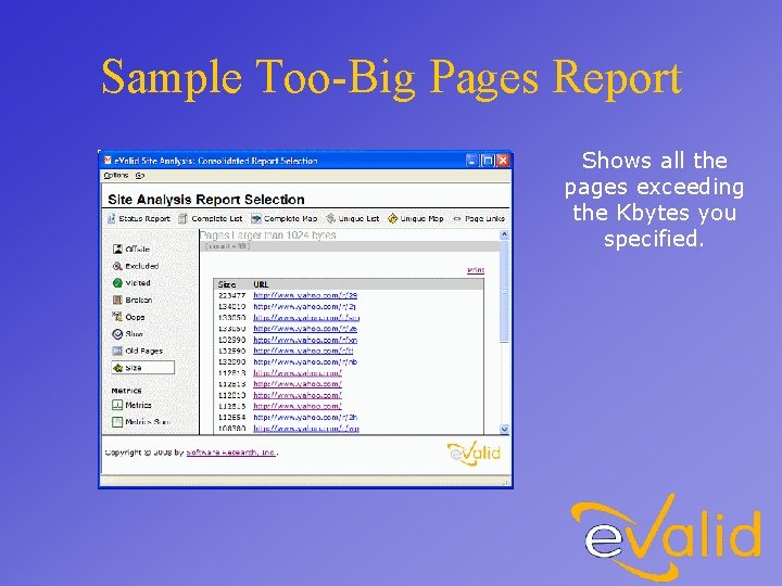 Sample Too-Big Pages Report Shows all the pages exceeding the Kbytes you specified. 