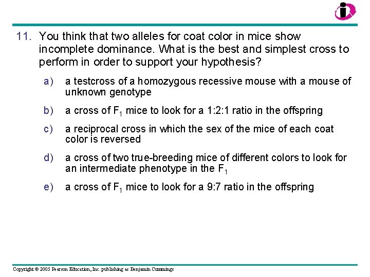 11. You think that two alleles for coat color in mice show incomplete dominance.