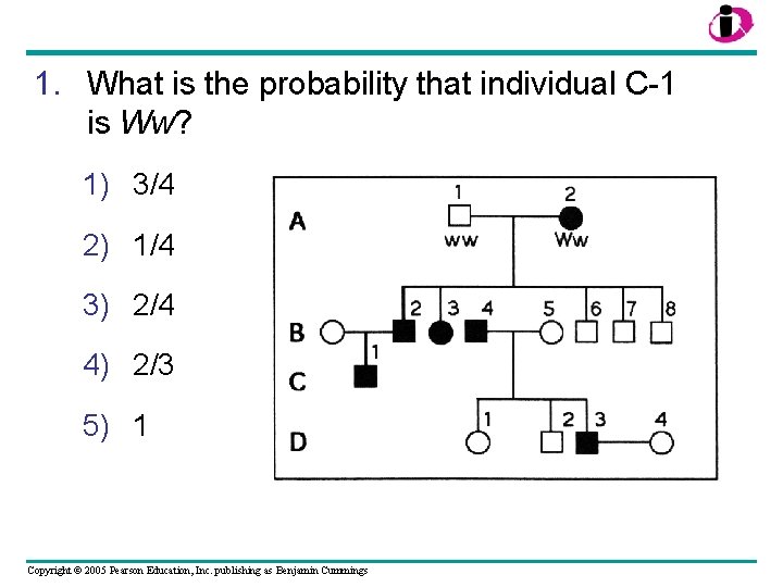 1. What is the probability that individual C-1 is Ww? 1) 3/4 2) 1/4