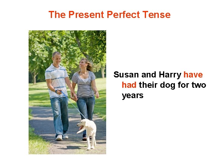 The Present Perfect Tense Susan and Harry have had their dog for two years