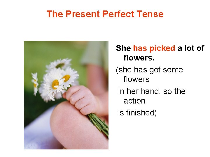 The Present Perfect Tense She has picked a lot of flowers. (she has got