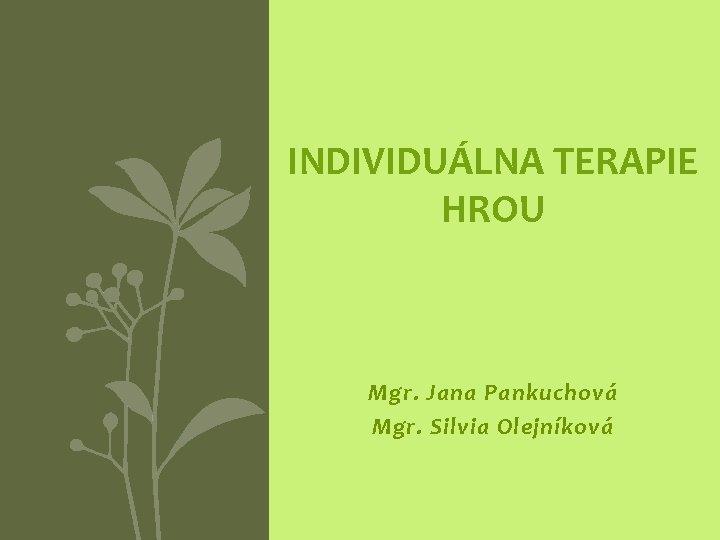 INDIVIDUÁLNA TERAPIE HROU Mgr. Jana Pankuchová Mgr. Silvia Olejníková 