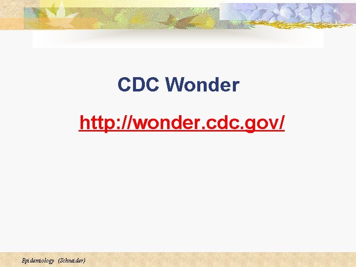 CDC Wonder http: //wonder. cdc. gov/ Epidemiology (Schneider) 