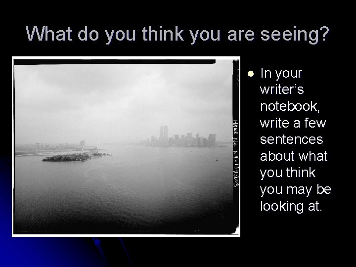 What do you think you are seeing? l In your writer’s notebook, write a