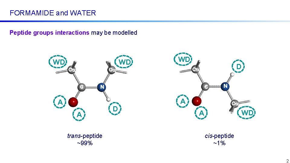 FORMAMIDE and WATER Peptide groups interactions may be modelled formamide. WD WD Ca WD